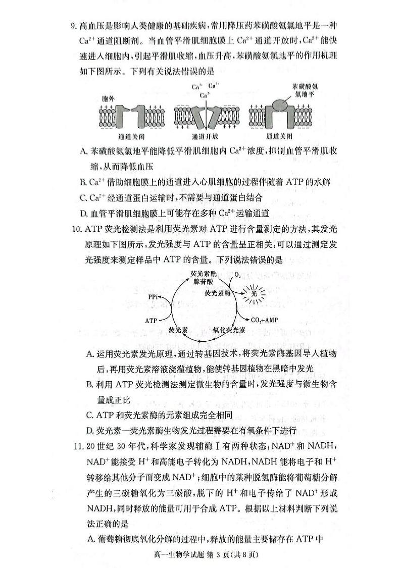 湖南省湘西土家族苗族自治州2024-2025学年高一上学期1月期末生物试题第3页