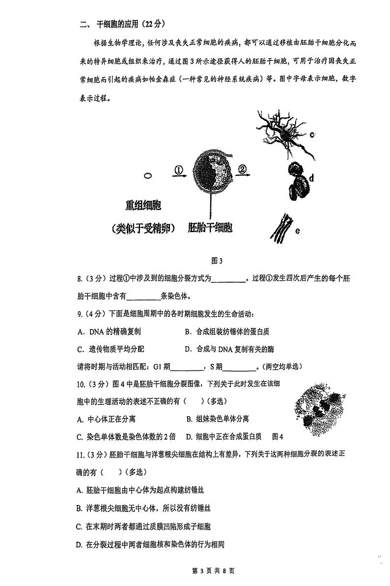 上海市青浦高级中学2024-2025学年高二上学期期末生物试卷第3页
