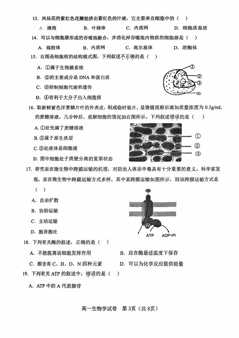 天津市河东区2024-2025学年高一上学期1月期末生物试题第3页
