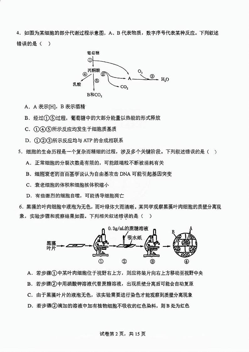 南开中学24年秋高一期末——生物原卷第2页