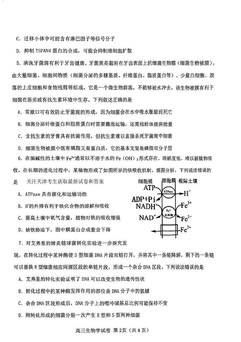 天津市西青区2024-2025学年高三上学期1月期末生物试题第2页