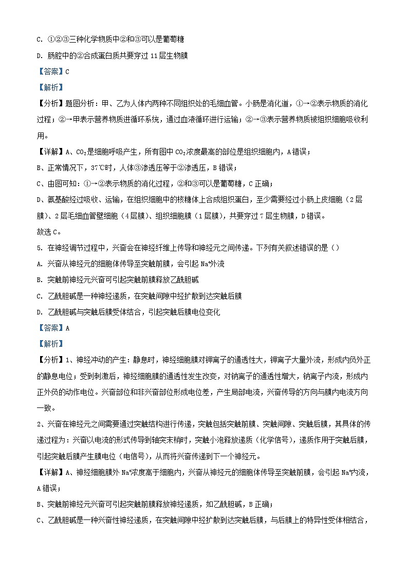 四川省眉山市2023_2024学年高二生物上学期11月期中试题含解析第3页