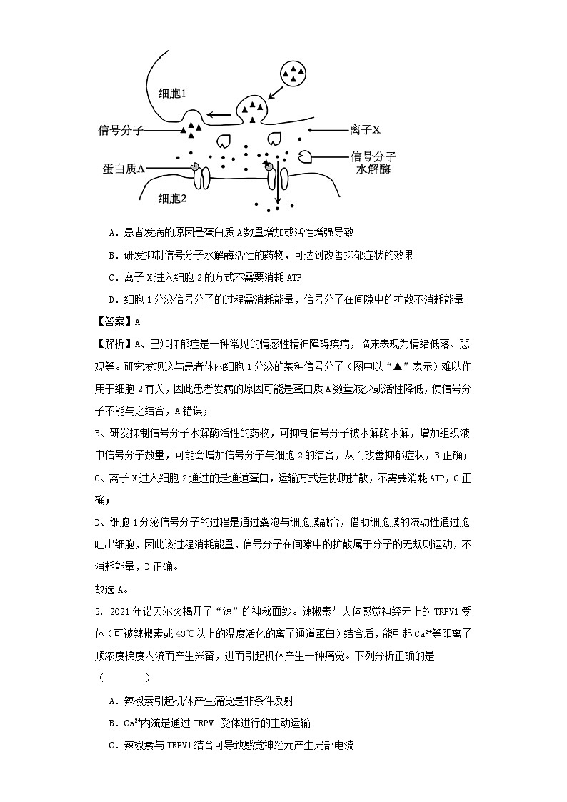 四川省眉山市仁寿县2023_2024学年高二生物上学期12月月考含解析第3页