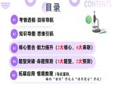 第03讲 ATP和酶（课件）-2025年高考生物二轮复习（新高考通用）