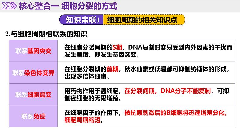 第05讲 细胞的增殖和减数分裂（课件）-2025年高考生物二轮复习（新高考通用）第8页