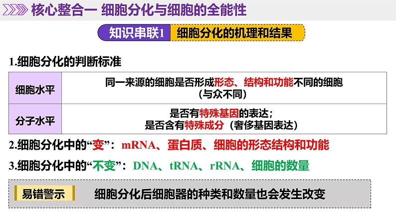 第06讲 细胞的分化、衰老、死亡和癌变（课件）-2025年高考生物二轮复习（新高考通用）第7页