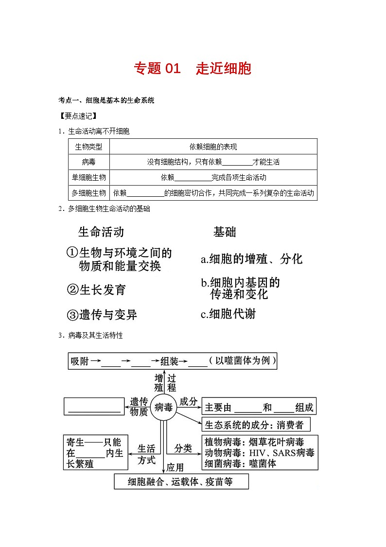 专题01 走近细胞(学生版)第1页