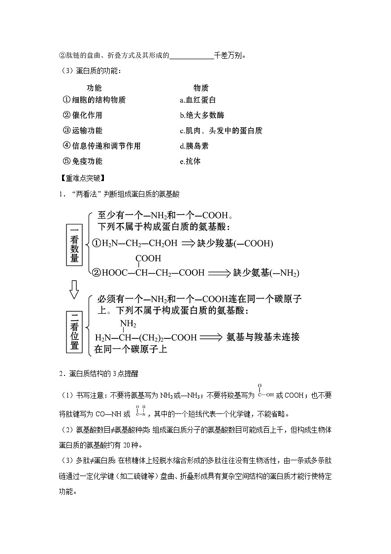 专题03 蛋白质与核酸(教师版)第2页