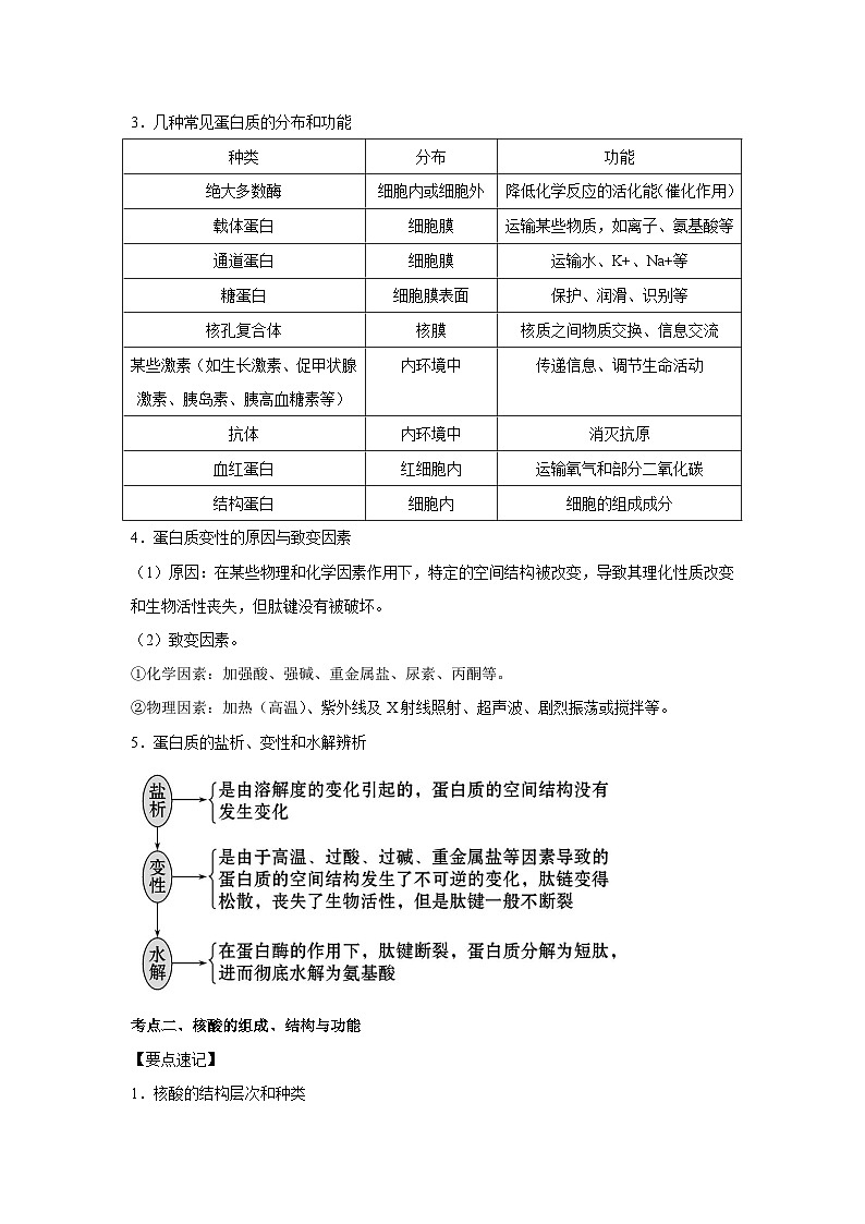 专题03 蛋白质与核酸(教师版)第3页