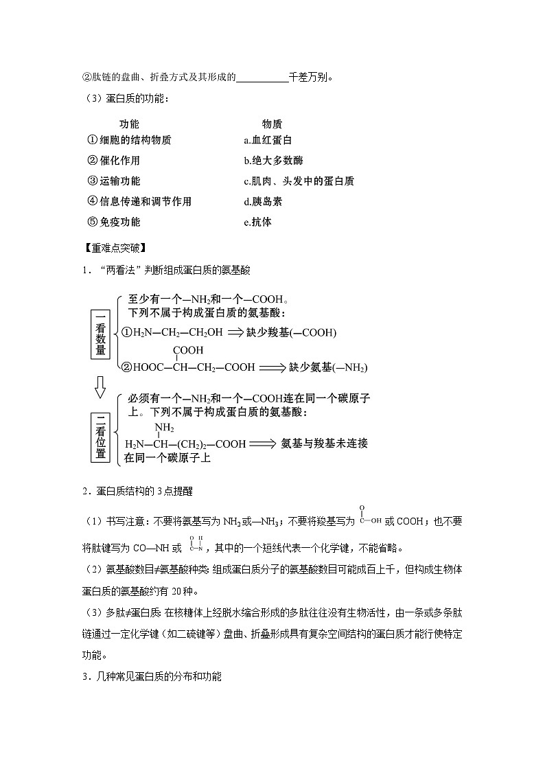 专题03 蛋白质与核酸(学生版)第2页