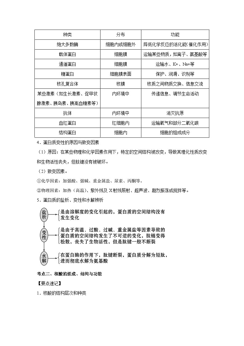 专题03 蛋白质与核酸(学生版)第3页