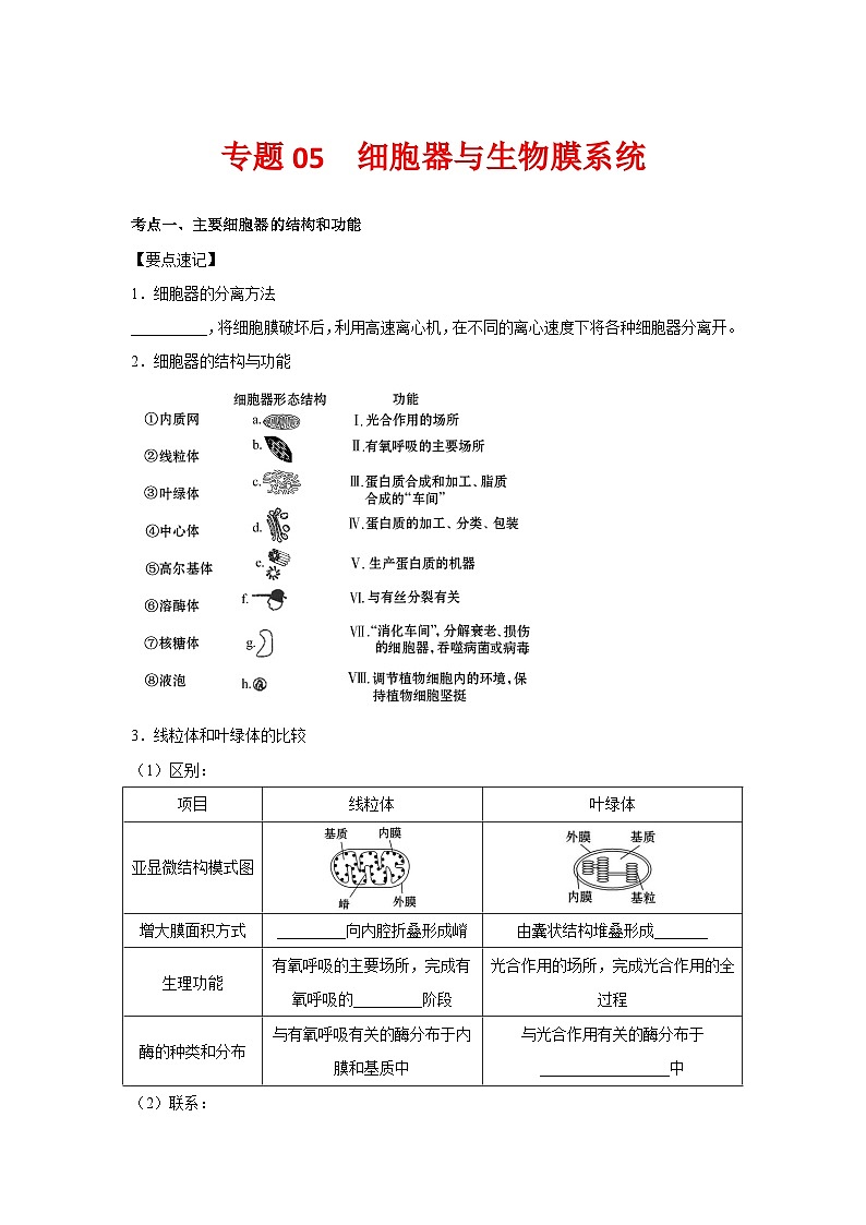 专题05 细胞器与生物膜系统(教师版)第1页