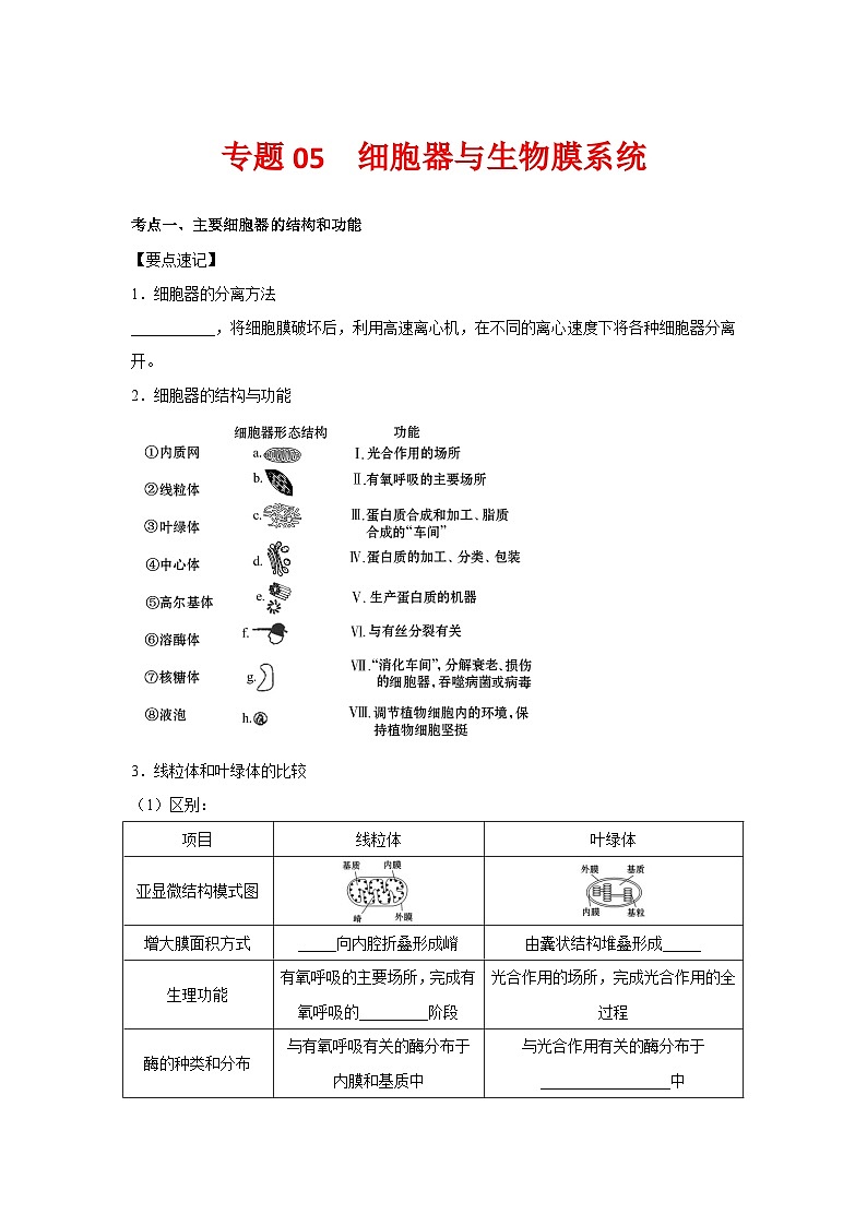 专题05 细胞器与生物膜系统(学生版)第1页