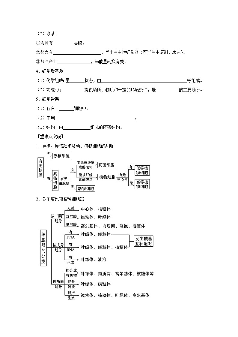 专题05 细胞器与生物膜系统(学生版)第2页