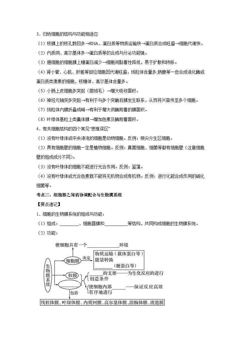 专题05 细胞器与生物膜系统(学生版)第3页