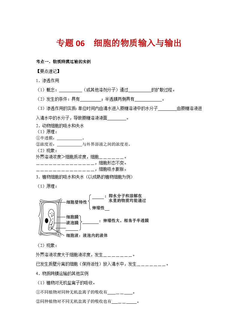 专题06 细胞的物质输入与输出(学生版)第1页