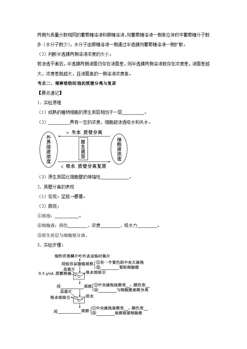 专题06 细胞的物质输入与输出(学生版)第3页