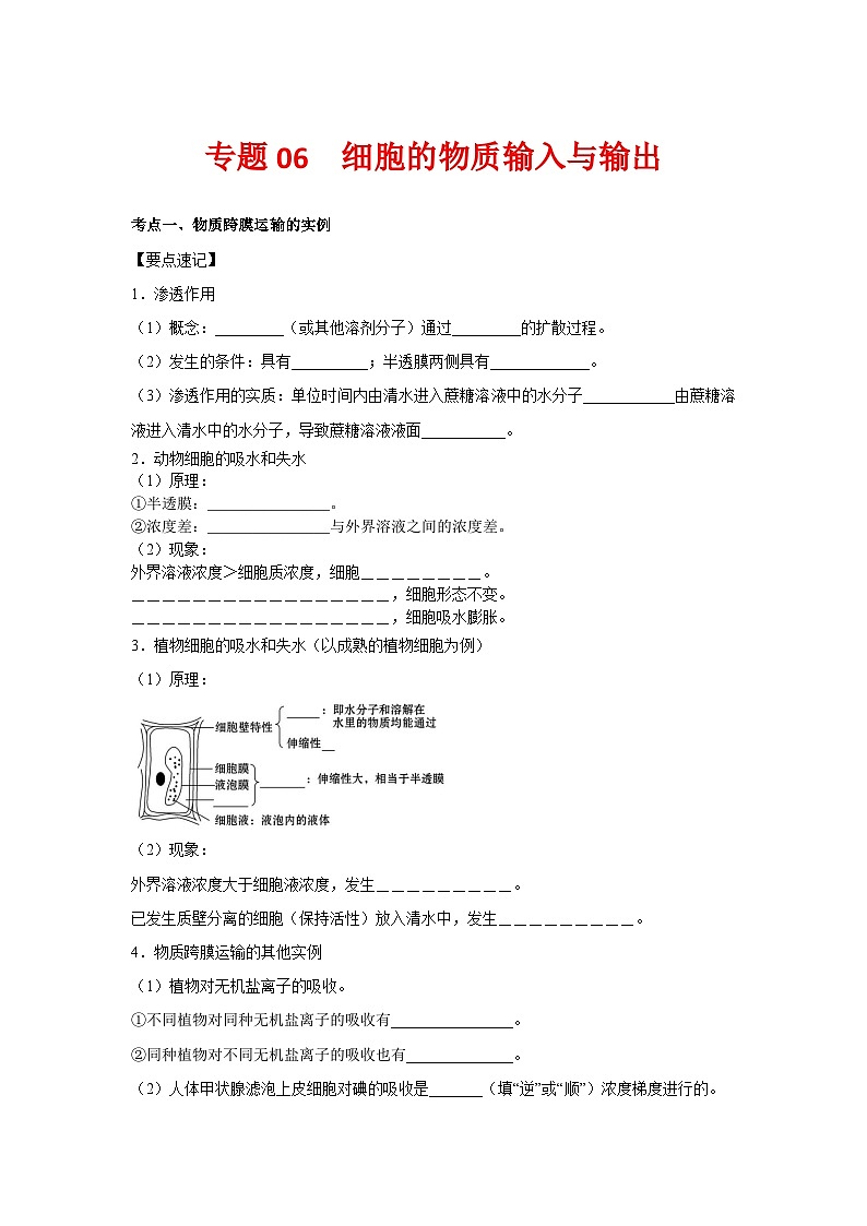 专题06 细胞的物质输入与输出(教师版)第1页