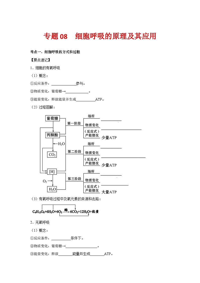 专题08_细胞呼吸的原理及其应用(教师版)第1页