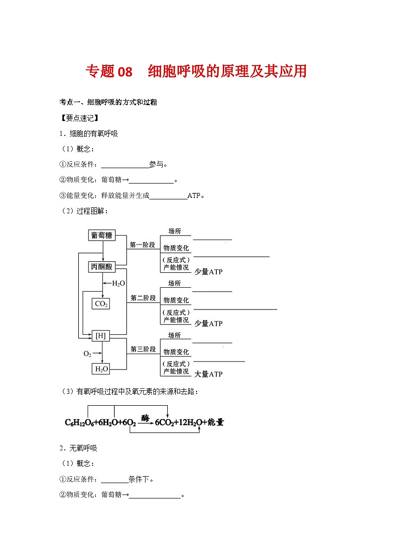 专题08_细胞呼吸的原理及其应用(学生版)第1页