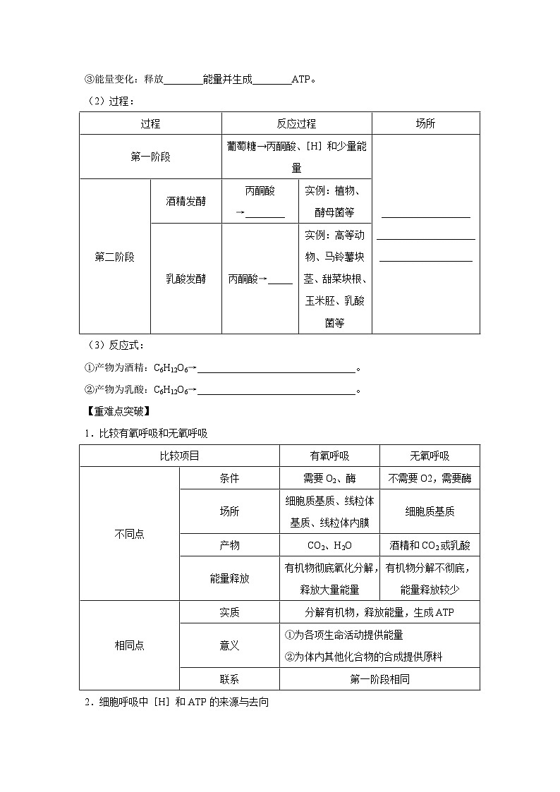 专题08_细胞呼吸的原理及其应用(学生版)第2页