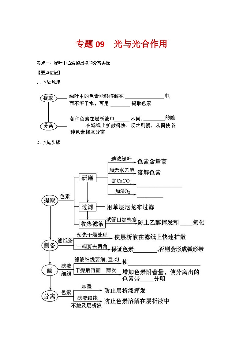 专题09_光与光合作用(教师版)第1页