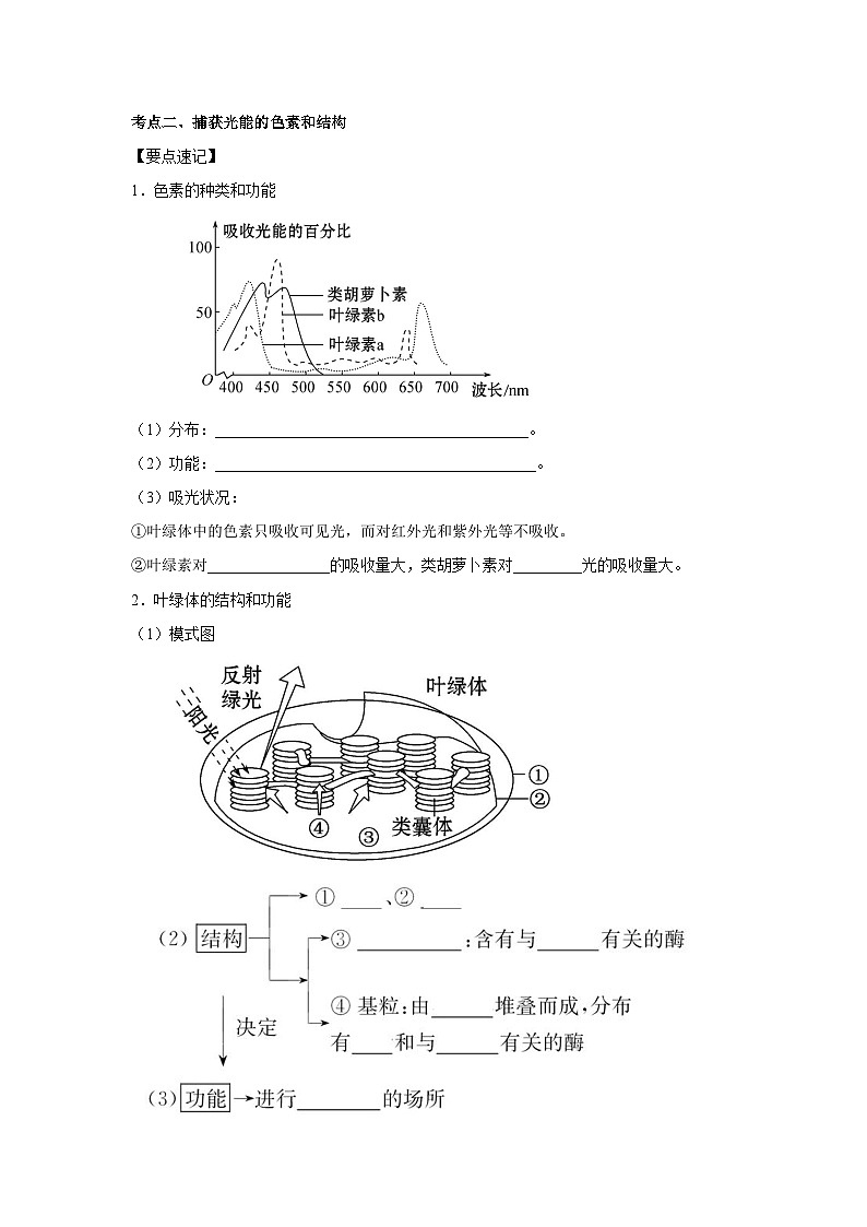 专题09_光与光合作用(教师版)第3页
