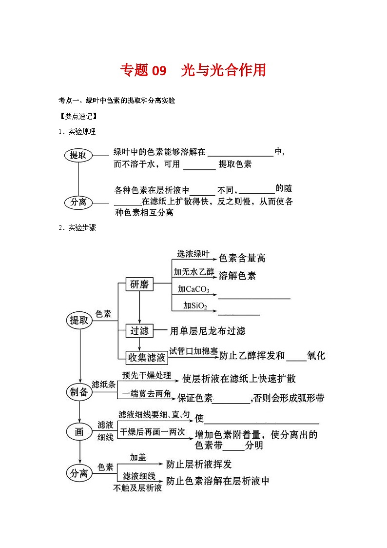 专题09_光与光合作用(学生版)第1页