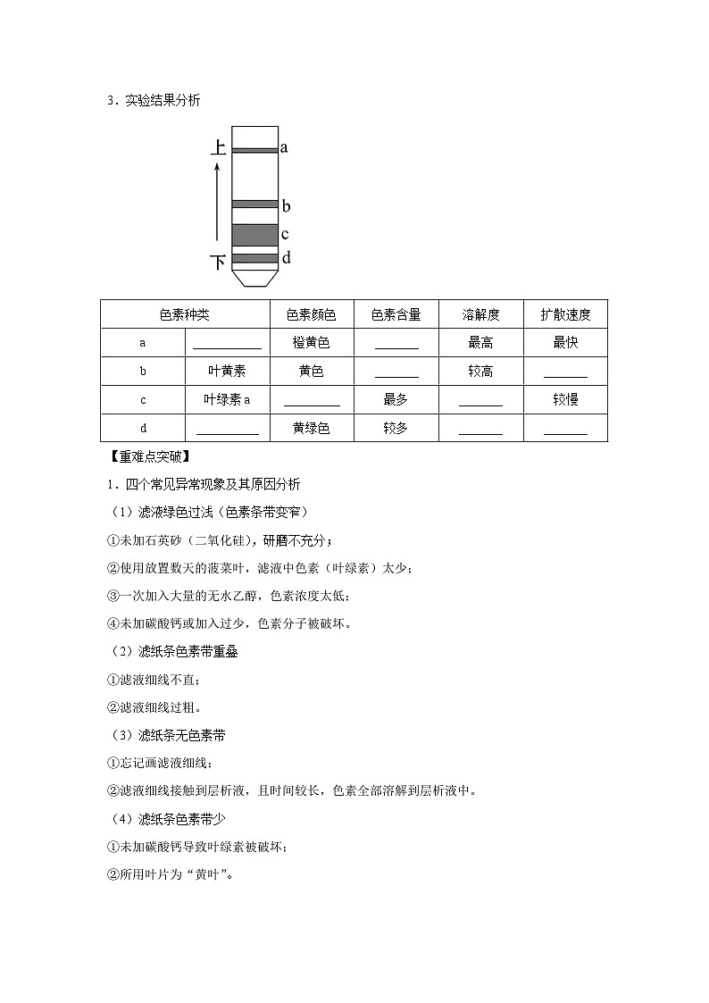 专题09_光与光合作用(学生版)第2页