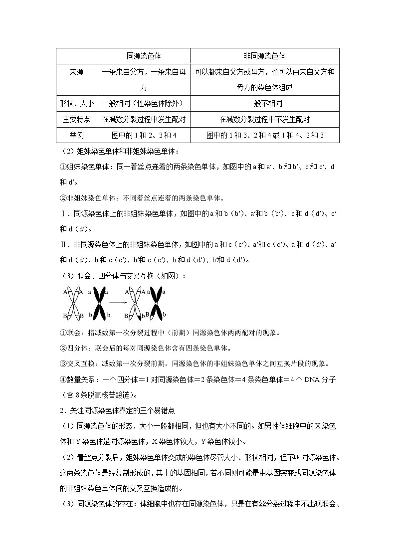 专题11_减数分裂与受精作用(学生版)第3页