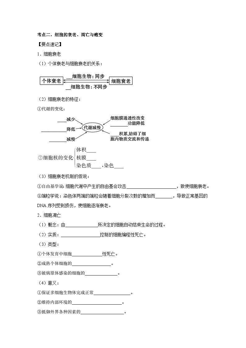 专题12_细胞的分化、衰老、凋亡与癌变(学生版)第3页