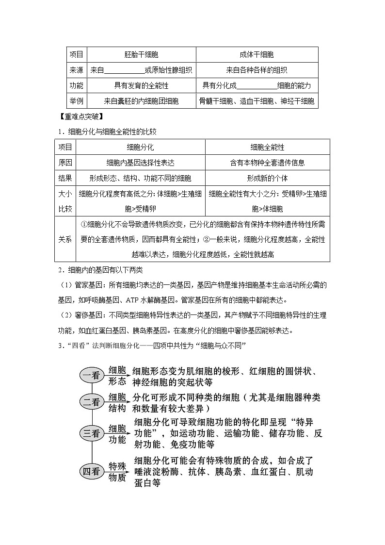 专题12_细胞的分化、衰老、凋亡与癌变(教师版)第2页
