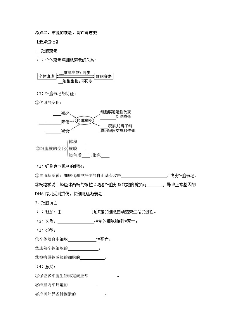 专题12_细胞的分化、衰老、凋亡与癌变(教师版)第3页