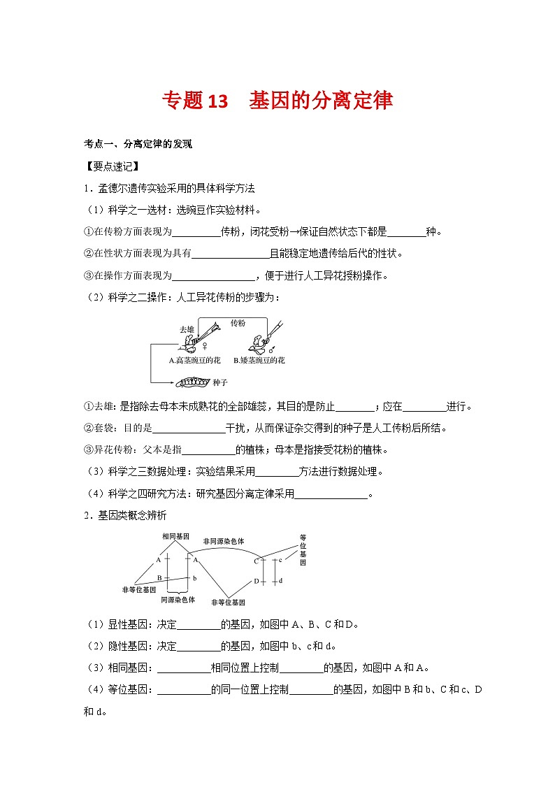 专题13_基因的分离定律(学生版)第1页