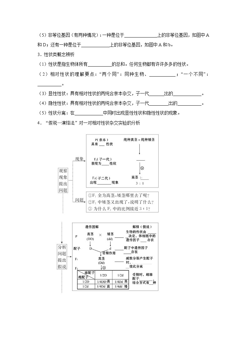 专题13_基因的分离定律(学生版)第2页