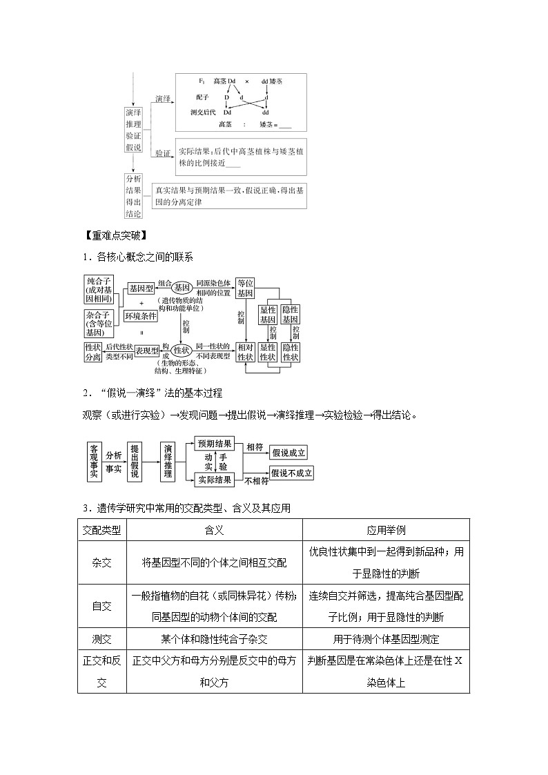 专题13_基因的分离定律(学生版)第3页