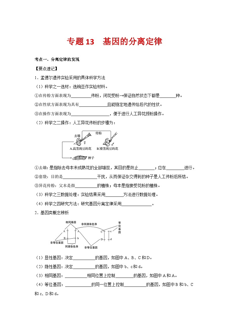 专题13_基因的分离定律(教师版)第1页