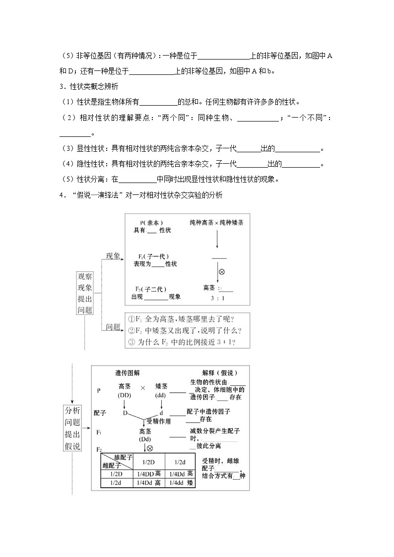 专题13_基因的分离定律(教师版)第2页