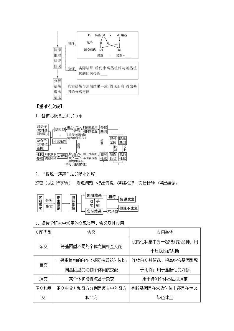 专题13_基因的分离定律(教师版)第3页