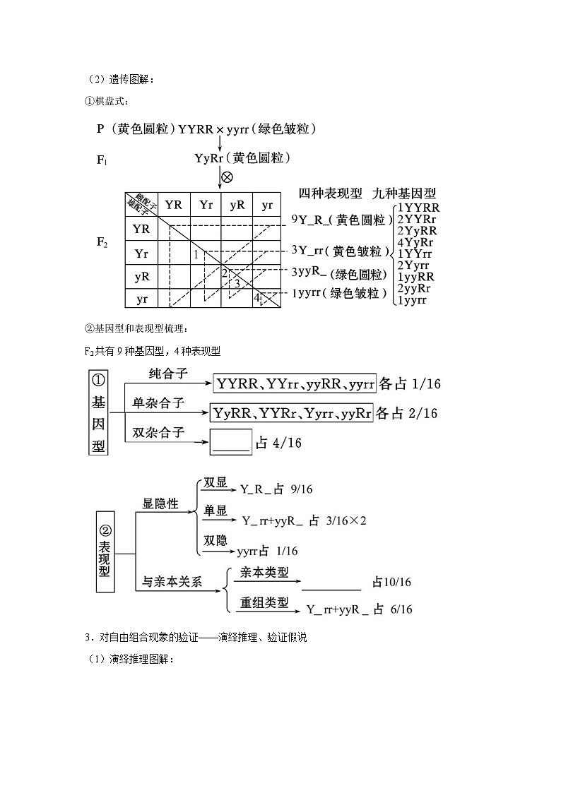 专题14_基因的自由组合定律(教师版)第2页