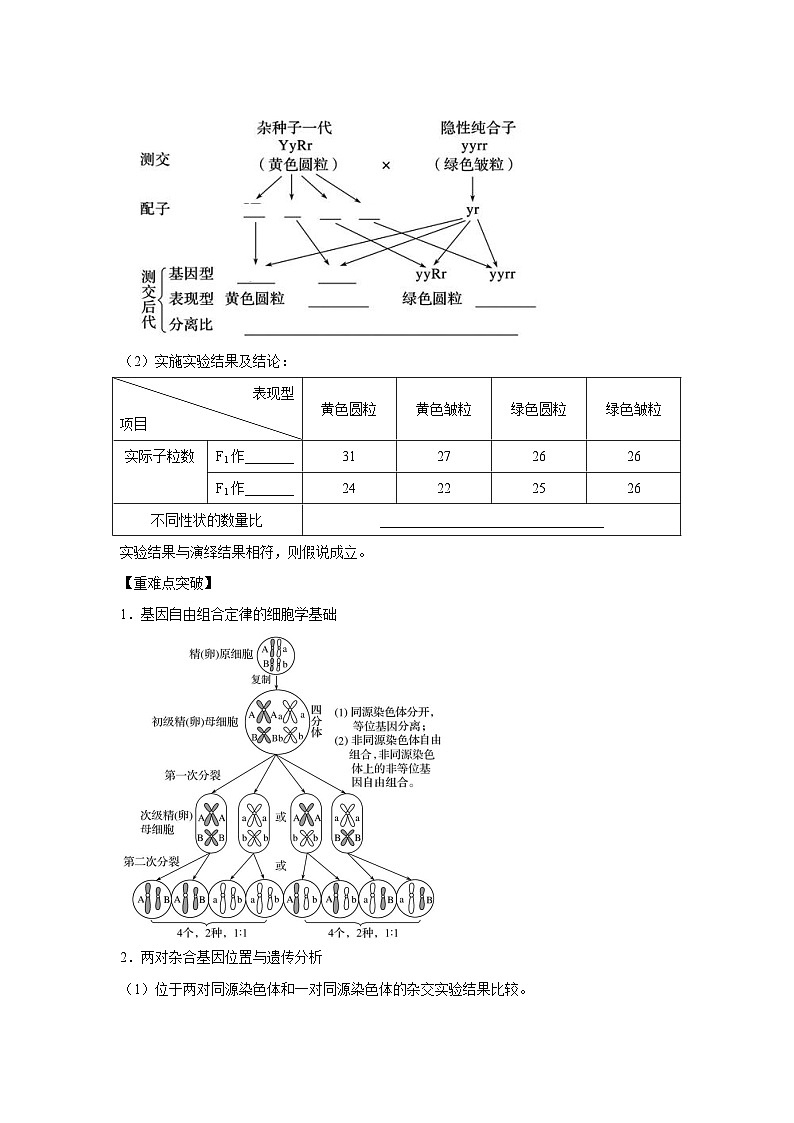 专题14_基因的自由组合定律(教师版)第3页