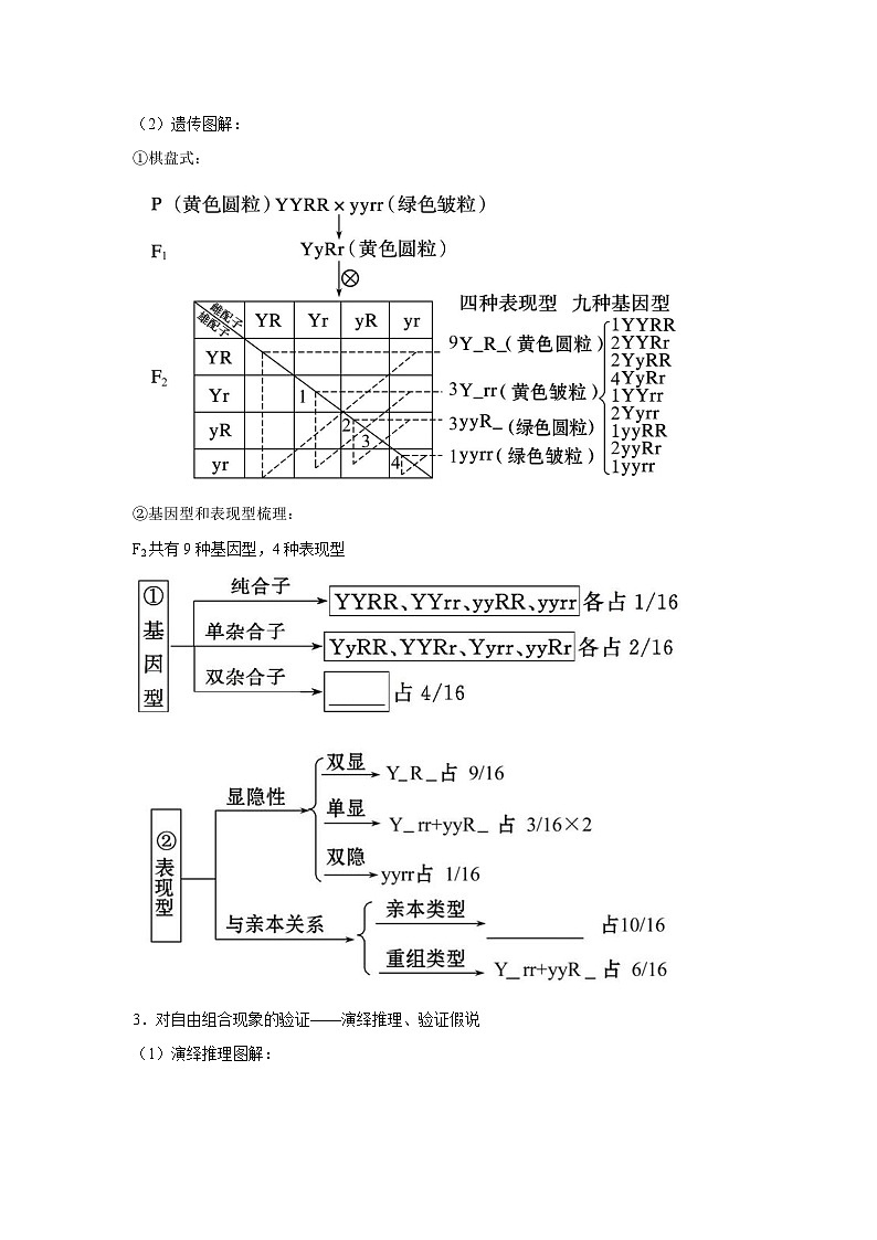 专题14_基因的自由组合定律(学生版)第2页