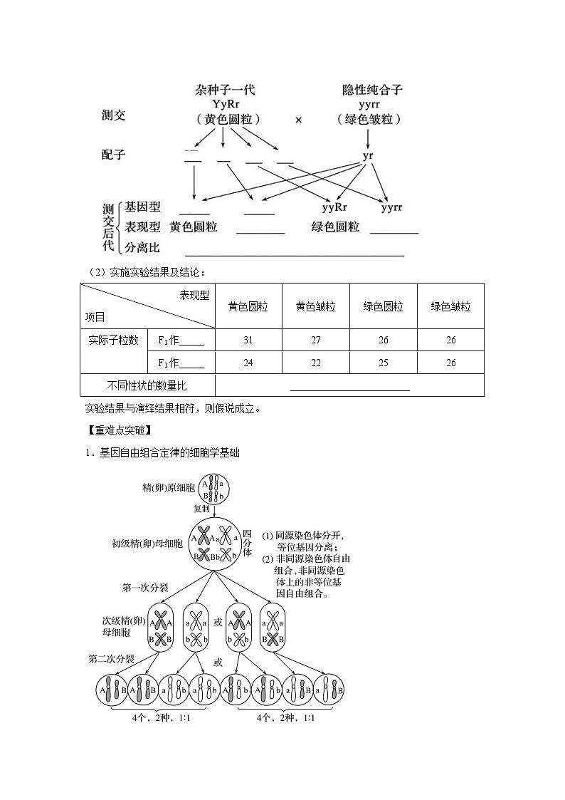 专题14_基因的自由组合定律(学生版)第3页