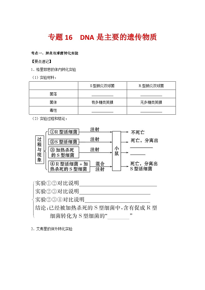 专题16_DNA是主要的遗传物质(学生版)第1页