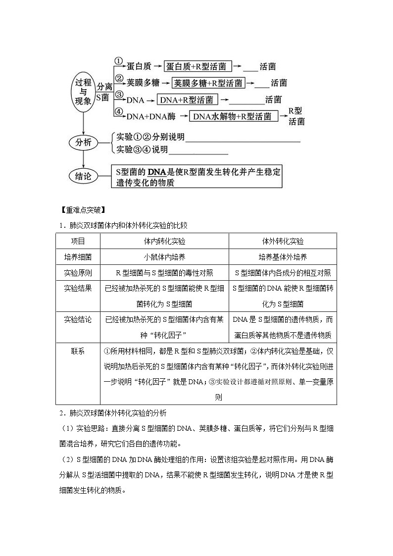 专题16_DNA是主要的遗传物质(学生版)第2页
