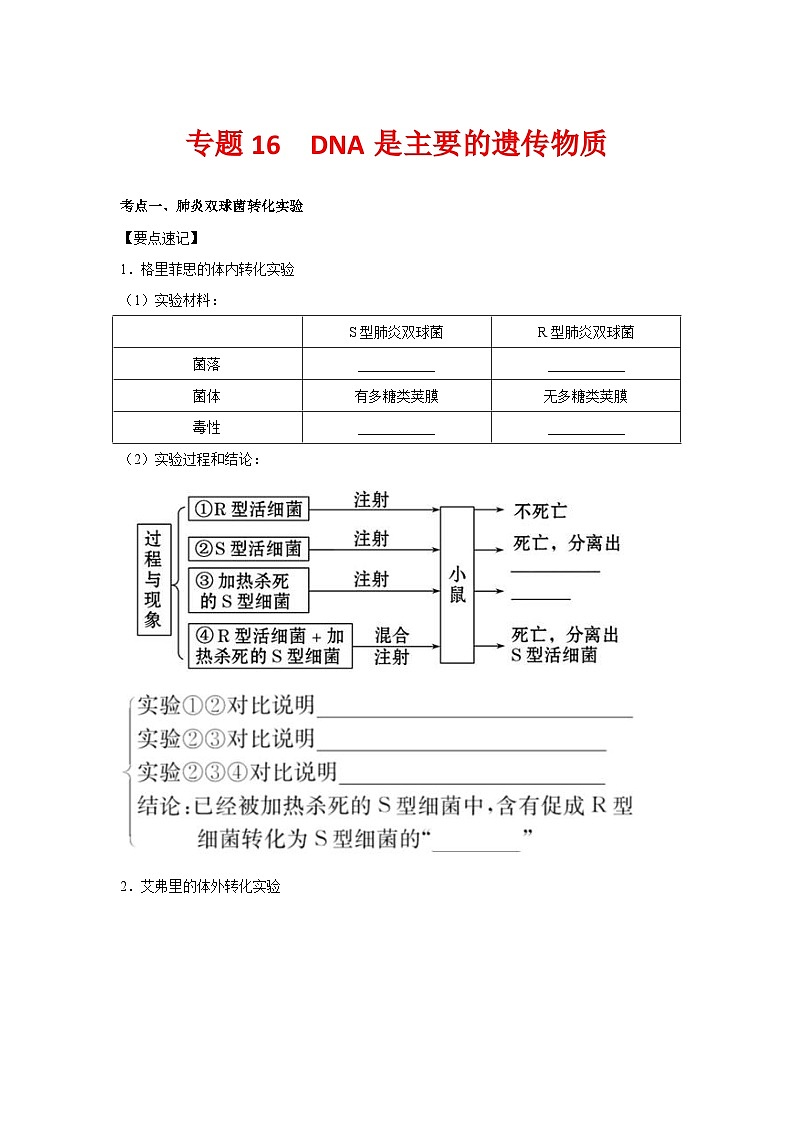 专题16_DNA是主要的遗传物质(教师版)第1页