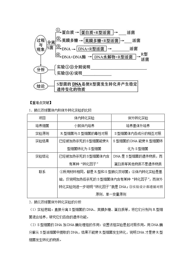 专题16_DNA是主要的遗传物质(教师版)第2页