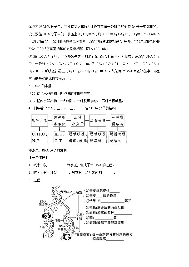 专题17_DNA的结构、复制与基因的本质(学生版)第3页