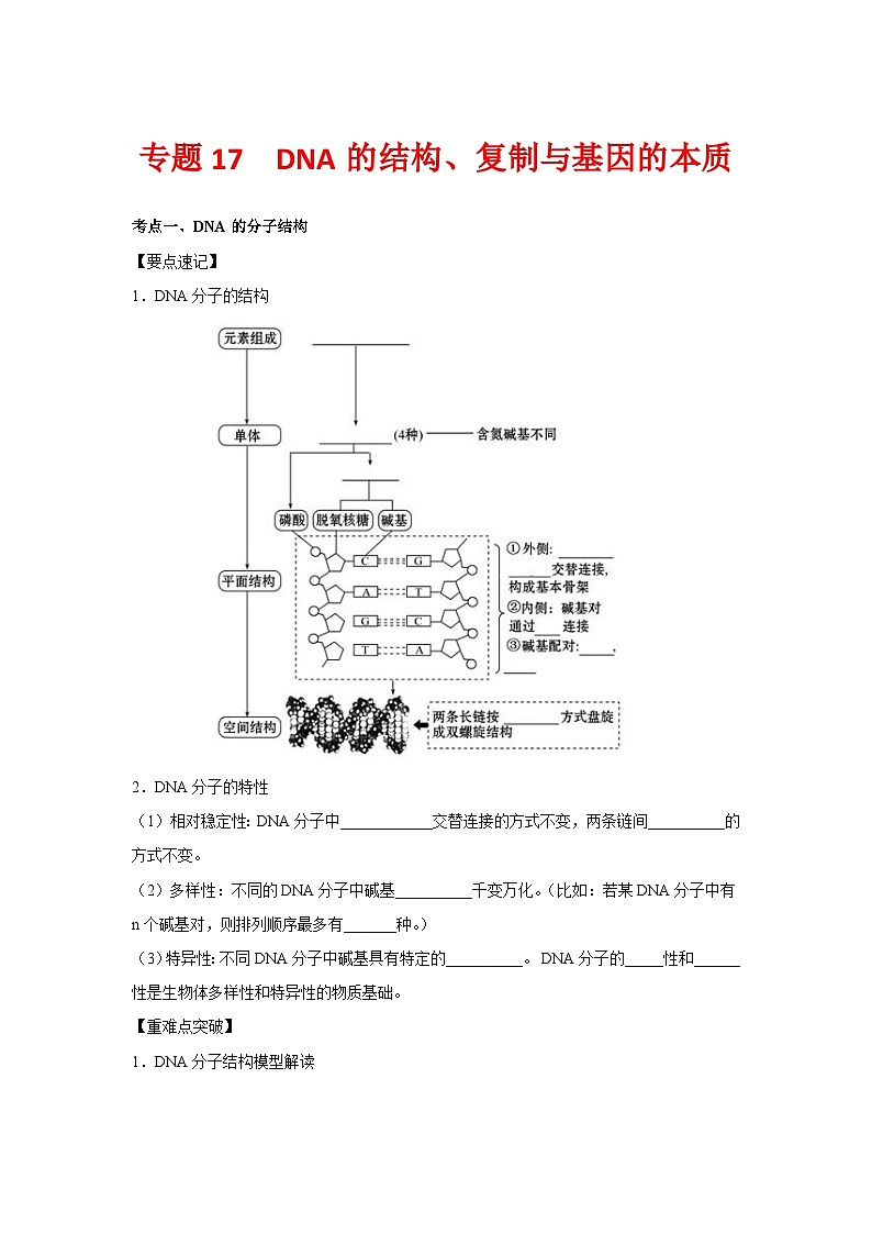 专题17_DNA的结构、复制与基因的本质(教师版)第1页