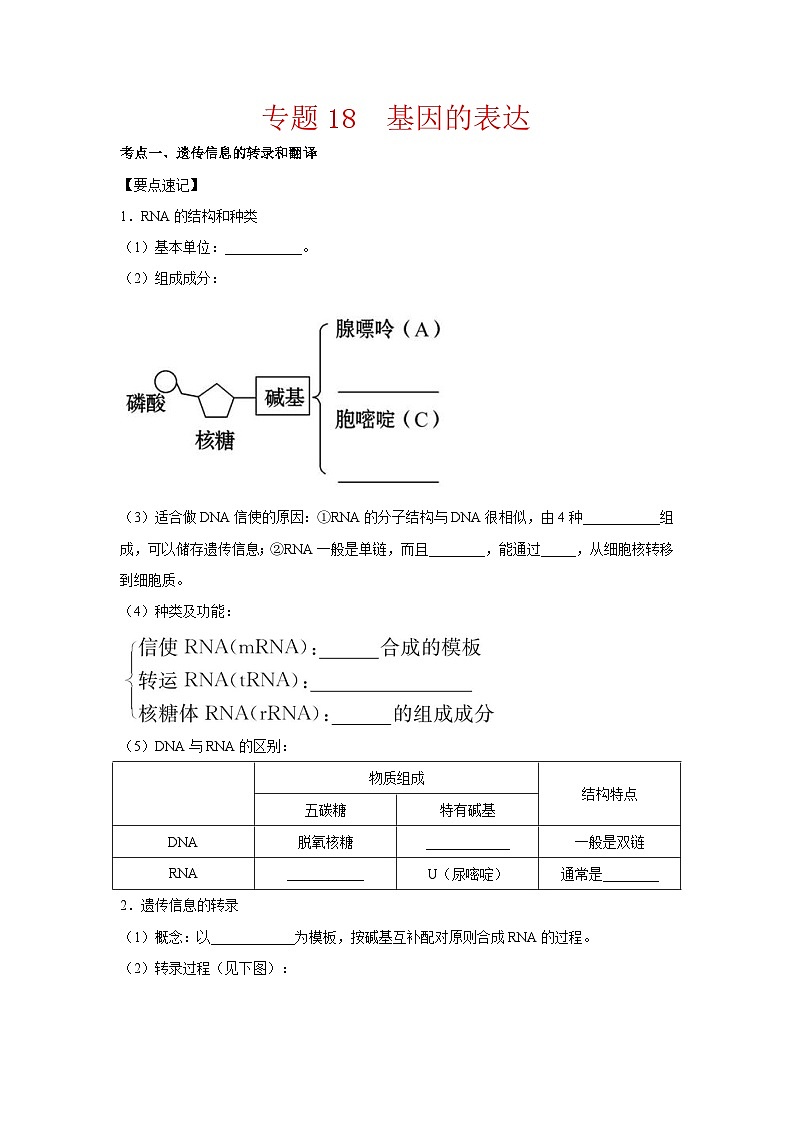 专题18 基因的表达(学生版)第1页